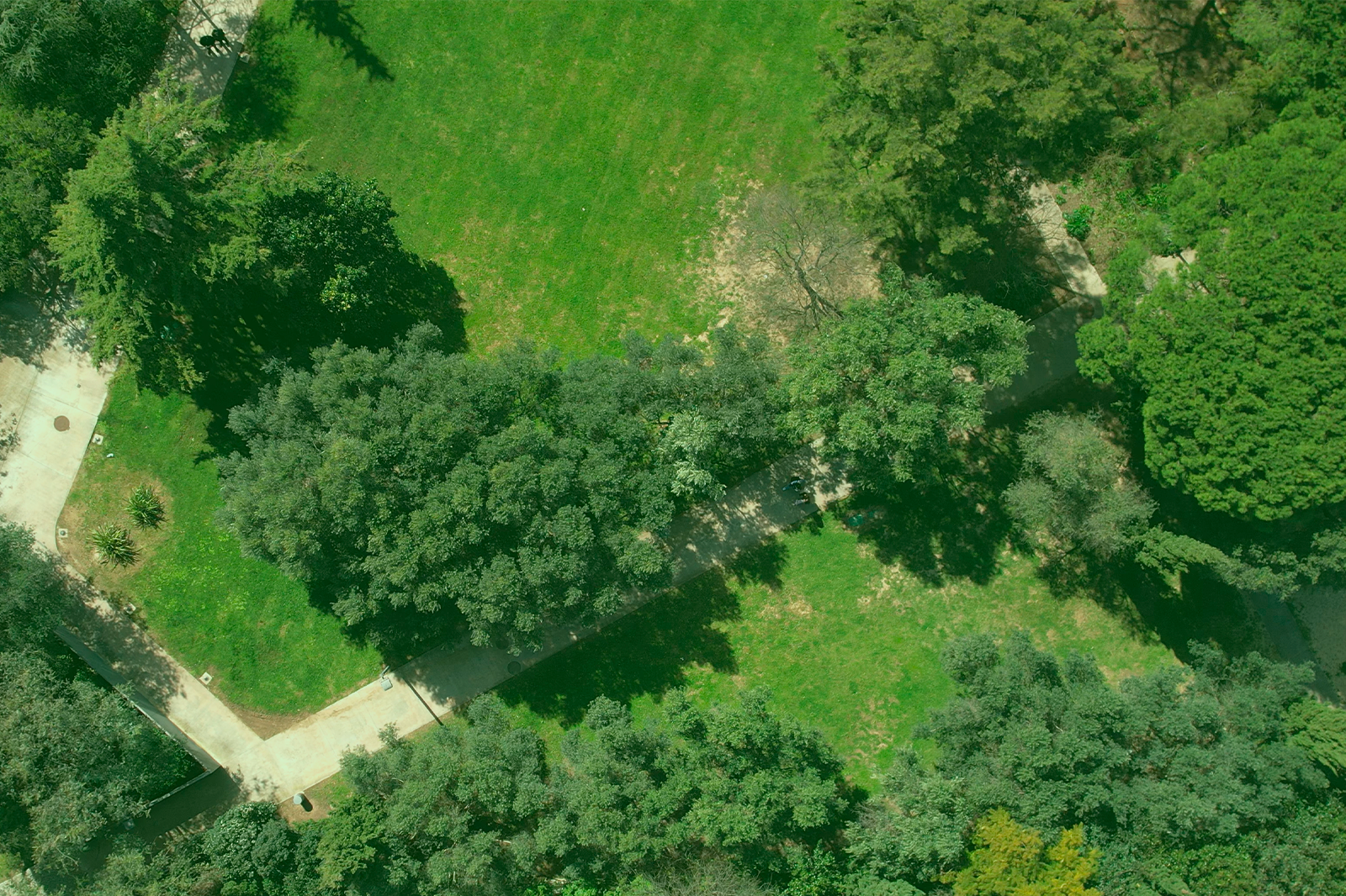 summit image